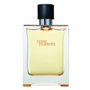 Hermes Terre D'Hermes woda toaletowa spray 100 ml - TESTER